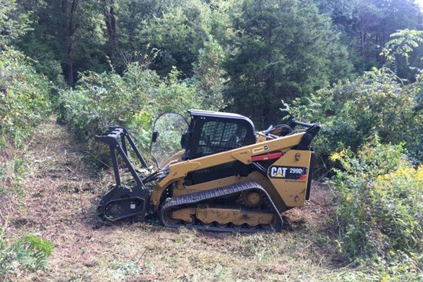 Forestry mulching attachment on a compact track loader clearing young forest