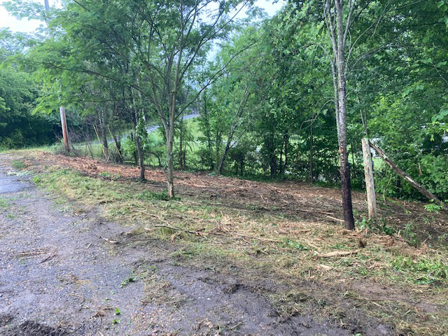 Land just cleared by the forestry mulcher on a track machine